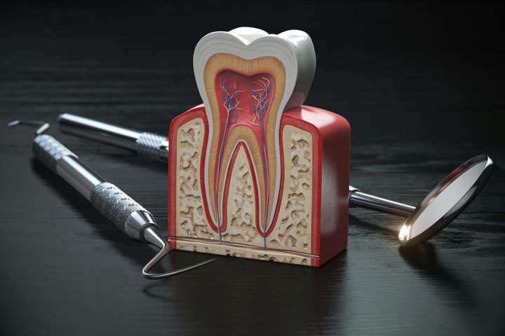 Read more about the article 骨粉秘辛：骨粉是什麼？讓您口腔重獲新生的寶藏